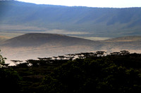 Acacia Trees Along Crater Rim