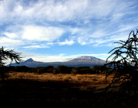 Mt. Kilimanjaro - Viewed from Amboseli