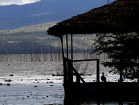 Picturesque Lake Naivasha