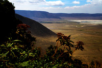 Ngorongoro Crater