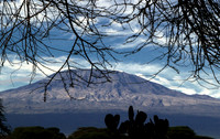 Mt. Kilimanjaro - Viewed from Amboseli